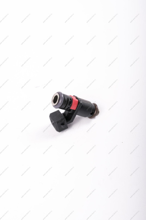 Форсунка топливная LADA XRAY/renault Duster , Kaptur 2.0i 16V F4R / дв H4M Renault RENAULT 166007733R