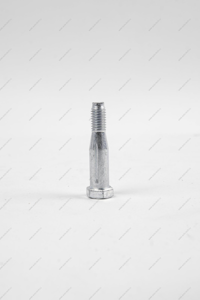 Ось ВАЗ-1118 петли двери (шестигранник) Lada LADA 11180610602030