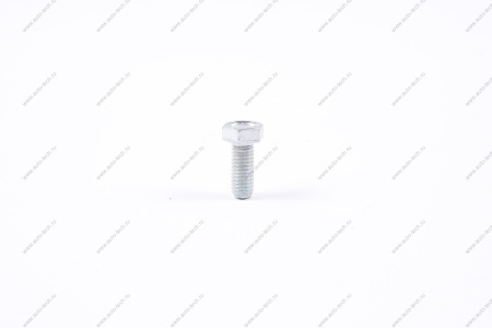 Болт М8х20х1,25 салазок АвтоВАЗ 00001006043421