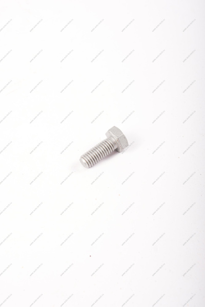 Болт M8х125х20 с шестигранной головкой LADA Largus Renault RENAULT 7703101443