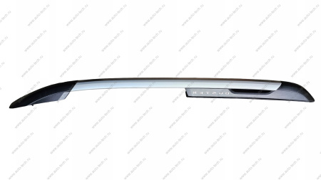 Рейлинг левый (СЕРЕБРИСТАЯ)RENAULT Duster II Renault RENAULT 738215835R