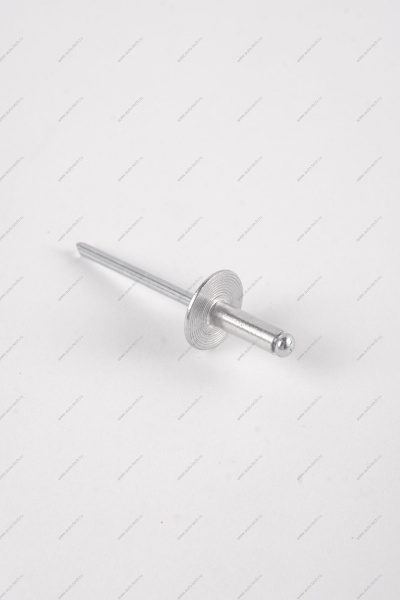 Заклепка RENAULT Logan/Рено Логан 2014- d=4,8мм Renault RENAULT 7705096011