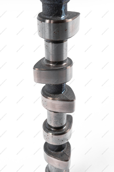 Вал распределительный впускной для двигат.11189 (P3M) Lada Largus Lada LADA 21110100601000