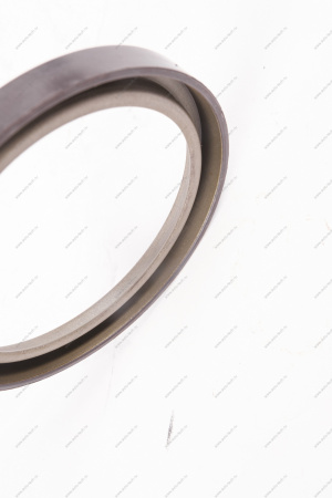 Кольцо Lada Vesta/Xray/Logan 2014- магнитное ABS (маленькое) тормозного барабана Renault RENAULT 479703074R