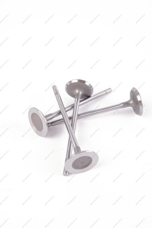 Клапан впускной 16кл. LADA Largus 1 шт AVTOSTANDART AVTOSTANDART 770147137888