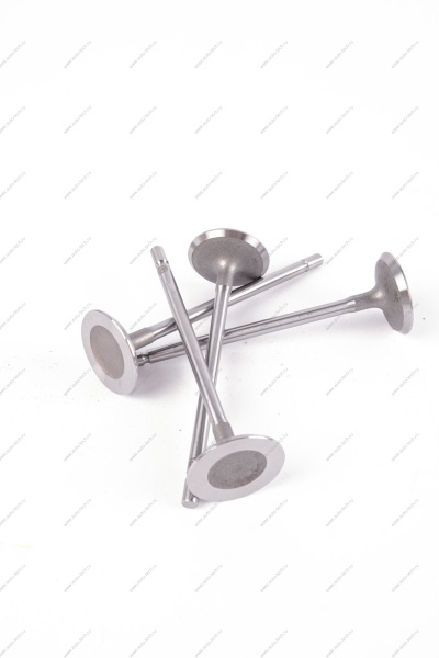 Клапан впускной 16кл. LADA Largus 1 шт AVTOSTANDART AVTOSTANDART 770147137888