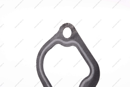 Прокладка термостата ВАЗ-2110 двигат 11189 Lada LADA 21100130301700