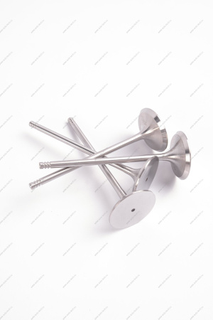 Комплект клапанов выпускных 4шт.к-т LADA Largus (FL) NEW Lada LADA 8460008784