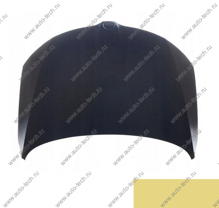 Капот крашеный SKODA RAPID 13- H5 - SAVANNAH SIMYI SIMYI 5JA823031B-H5 (SIMYI)