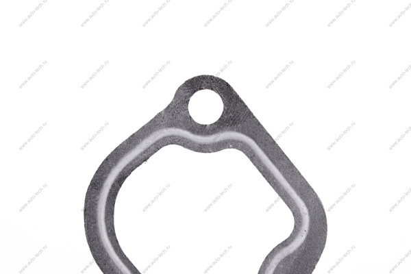 Прокладка термостата ВАЗ-2110 двигат 11189 Lada LADA 21100130301700