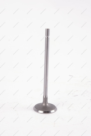 Клапан впускной 16кл. LADA Largus 1 шт AVTOSTANDART AVTOSTANDART 770147137888