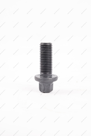 Болт крепления шаровой опоры,тормоза заднего н/о (головка под звездочку) М10*1.25*23 Lada Vesta /SW/ SW Cross ( БелЗАН) Lada LADA 210802904194008