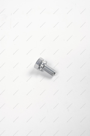 Болт м8х20 ВАЗ-21213 креления корзины сцепления (БелЗАН) Lada LADA 00001-0038258-21