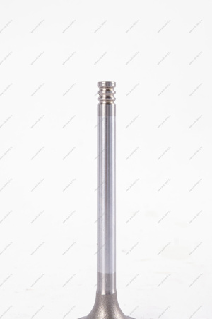 Комплект клапанов впускных 4шт.к-т LADA Largus (FL) NEW Lada LADA 8460008783