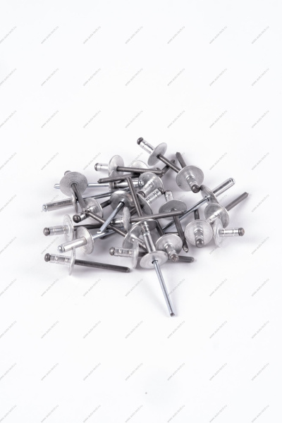 Заклепка RENAULT Logan/Рено Логан 2014- d=4,8мм Renault RENAULT 7705096011