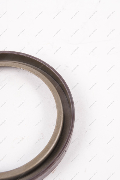 Кольцо Lada Vesta/Xray/Logan 2014- магнитное ABS (маленькое) тормозного барабана Renault RENAULT 479703074R