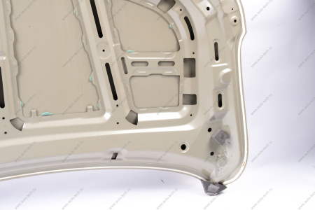 Капот COOLRAY/BELGEE X50 GAMMA GAMMA GMHO-21296