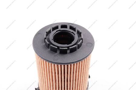 Фильтр масляный TUGELLA / MONJARO GEELY Geely 1056025900