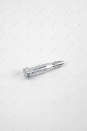 Ось ВАЗ-1118 петли двери (шестигранник) Lada LADA 11180610602030