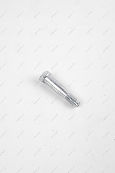 Ось ВАЗ-1118 петли двери (шестигранник) Lada LADA 11180610602030