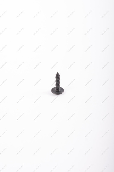 Болт LADA Largus/Лада Ларгус/ Vesta/ XRAY большой саморез с круглой головкой Lada RENAULT 7703016547