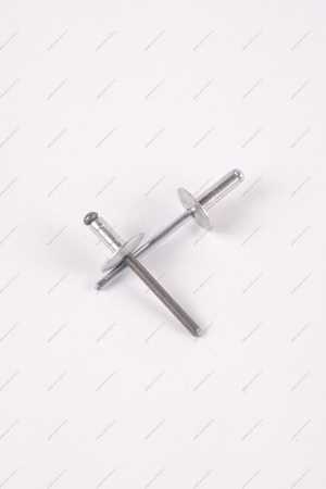 Заклепка RENAULT Logan/Рено Логан 2014- d=4,8мм Renault RENAULT 7705096011