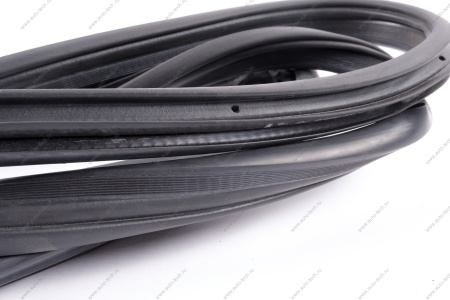 Уплотнитель проема двери ВАЗ-2192 передней (БРТ) Lada LADA 219406107018Р