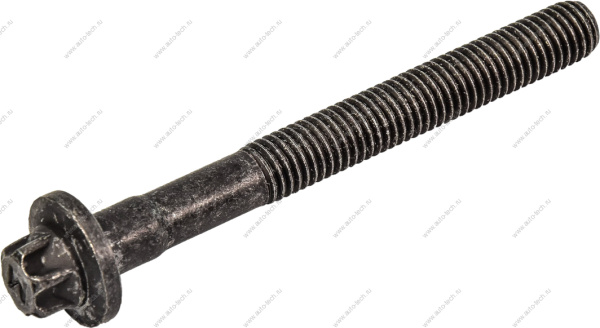 Болт крепления головки цилиндров LADA Largus 8 кл. Renault RENAULT 110565986R
