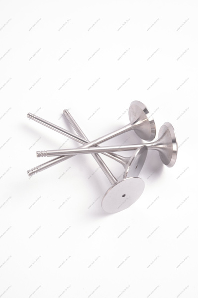 Комплект клапанов выпускных 4шт.к-т LADA Largus (FL) NEW Lada LADA 8460008784