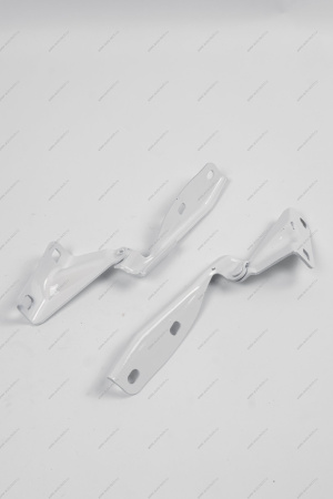 Петля капота левая +правая к-т в цвет 240 Белое облако (белый) (FL) LADA GRANTA 2018- Lada LADA 219008407011+10-240