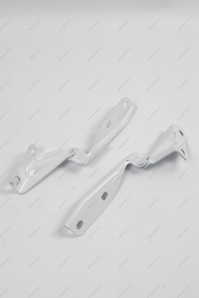 Петля капота левая +правая к-т в цвет 240 Белое облако (белый) (FL) LADA GRANTA 2018- Lada LADA 219008407011+10-240