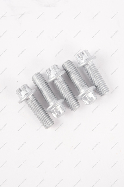 Болт М6*1*18 крепления держателя катушки LADA Vesta (звезда крепления держателя сальника ) Белзан БелЗАН 211201005157008