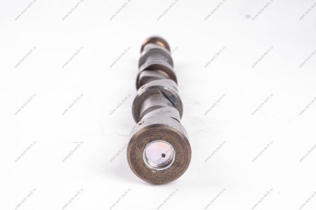 Вал ВАЗ-21214 распределительный с боковой шпонкой (без корпуса) Lada LADA 21214100601000