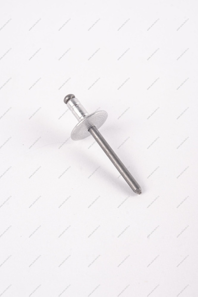 Заклепка RENAULT Logan/Рено Логан 2014- d=4,8мм Renault RENAULT 7705096011