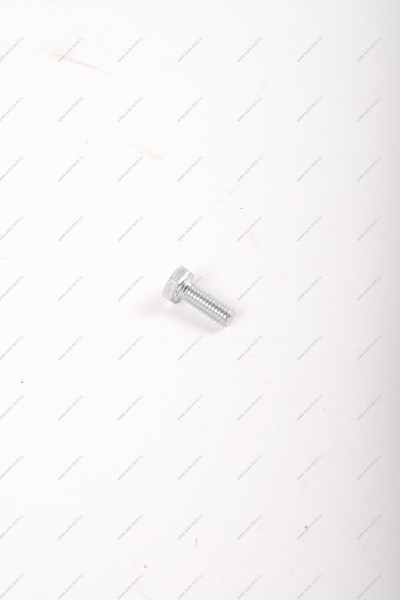 Болт M6x16 Lada LADA 00001-0009022-21