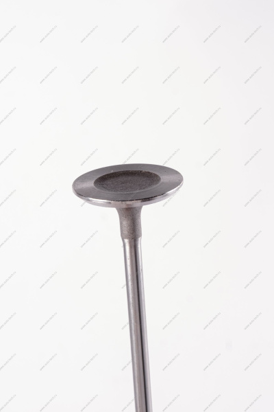 Клапан впускной 16кл. LADA Largus 1 шт AVTOSTANDART AVTOSTANDART 770147137888