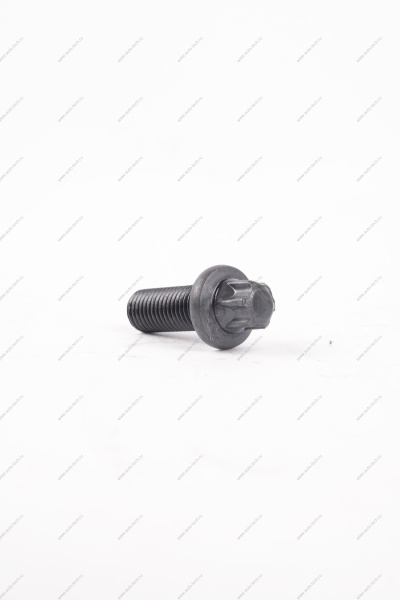 Болт крепления тормоза заднего Lada Vesta /SW/ SW Cross ( БелЗАН) Lada LADA 210802904194008