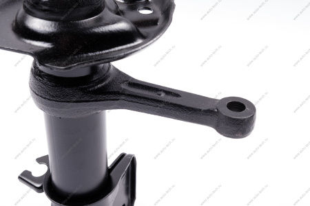 Амортизатор для а/м ВАЗ-2190 Granta передний правый Riginal RG2190-2905402