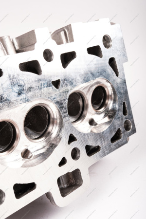 Головка блока цилиндров без шпилек в сборе (с направляющими втулками, без клапанов и вала распределительного) без шпилек LADA Largus (FL) NEW Lada LADA 11182100301100