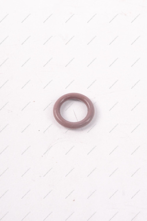 Кольцо уплотнительное форсунки ВАЗ 21127 (Серое 10*15) Lada LADA 21127113213800