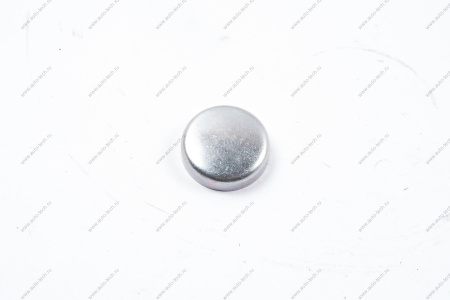 Заглушка ГБЦ ВАЗ-2170 двигат 16 кл чашечная (d=36) Lada LADA 00001004329201