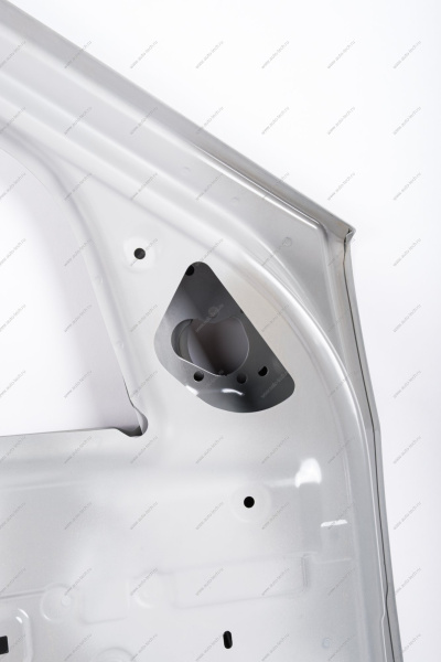 Дверь передняя левая LADA Largus/Лада Ларгус (с отв.под широкий молдинг. с отв . под личинку) (катафорезный грунт) Lada LADA 801013696R