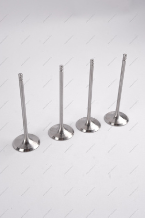 Комплект клапанов выпускных 4шт.к-т LADA Largus (FL) NEW Lada LADA 8460008784