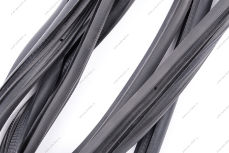 Уплотнитель проема двери ВАЗ-2192 передней (БРТ) Lada LADA 219406107018Р