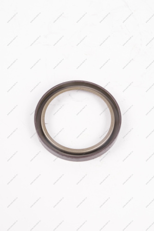 Кольцо Lada Vesta/Xray/Logan 2014- магнитное ABS (маленькое) тормозного барабана Renault RENAULT 479703074R