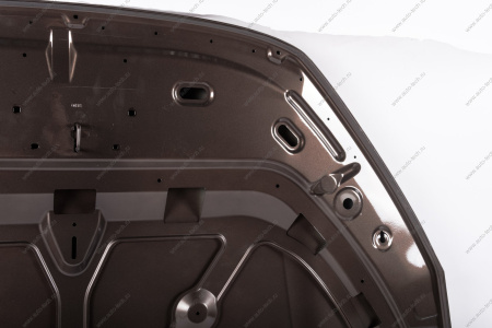 Капот Datsun/Датсун (в наличии также есть в цвет) Gamma GAMMA GMHO-21340