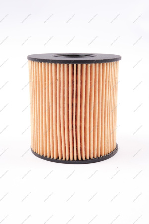 Фильтр маслянный T6 JAC JAC 1010208GD190