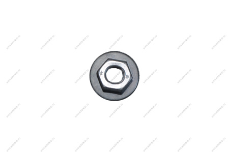 Гайка RENAULT Duster двери/Рено Дастер Renault RENAULT 7703034259