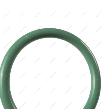 Прокладка LADA Largus корпуса дроссельной заслонки 16кл K4M(малая) ROSTECO Fra-Roi 550520FR