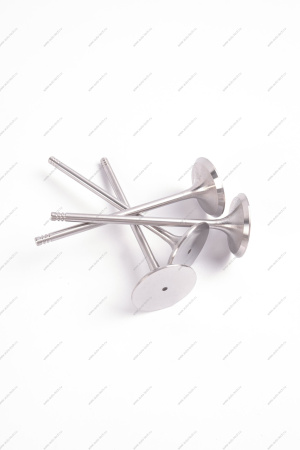 Комплект клапанов выпускных 4шт.к-т LADA Largus (FL) NEW Lada LADA 8460008784